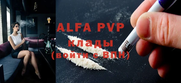 хмурый Абаза