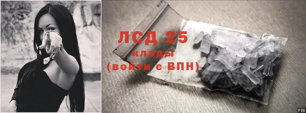 хмурый Абаза
