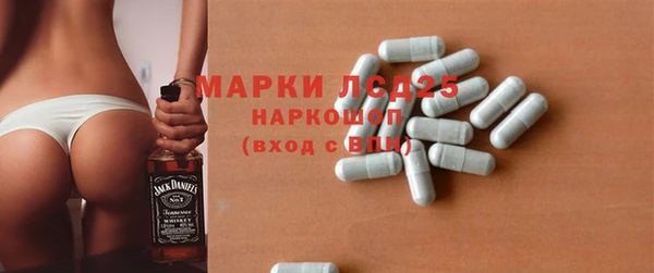 хмурый Абаза