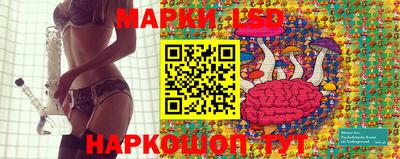 метадон Гай