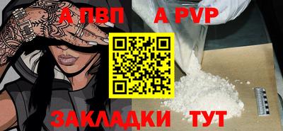ECSTASY Гатчина