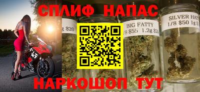 метадон Гай