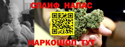 ECSTASY Гатчина