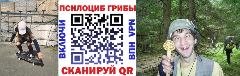Галлюциногенные грибы мухоморы  Каменск-Шахтинский 