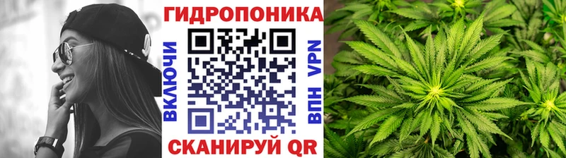 Бошки Шишки сатива  наркотики  Каменск-Шахтинский 